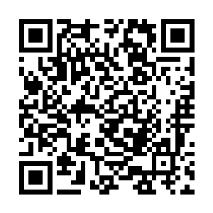 仅仅是为了雨果而走进电影院的观众就将会十分可观二维码生成