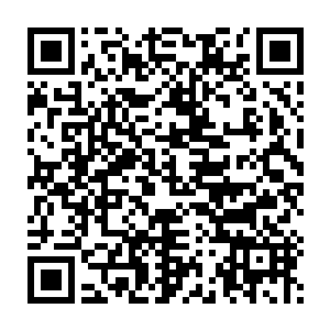 仅仅是嘲讽了一番卡梅隆的烧钱和预言了一番电影上映后肯定扑街二维码生成