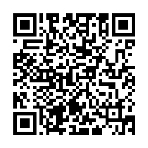 仅仅是因为那里留下的功法――那的确都是兵主的功法二维码生成