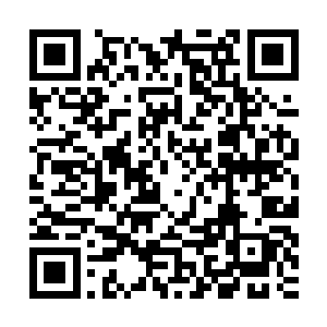 仅仅是杨锐先生发明的植物提取法和半合成法生产辅酶q10的技术二维码生成