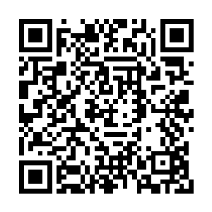 仅仅是邀请可能呼会问题的明星进行潜意识测试二维码生成