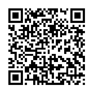 仅仅轻飘飘的拍出一掌就将自己的攻击化解于无形二维码生成