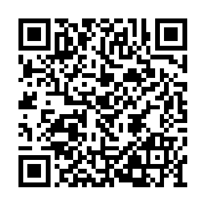 仅剩的树干上也是遍布各种狰狞可怕的腐蚀伤痕二维码生成
