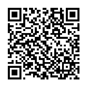 仅此一个项目就相当于宋州全市几年的招商引资额度二维码生成