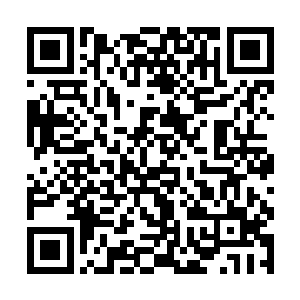 今天卢向东发言时提到影响发展的许多社会环境问题二维码生成