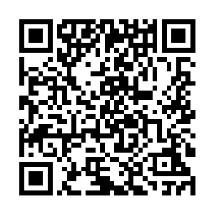 今天晚上见面后一定要狠狠的熟络下我这位姐夫才行二维码生成