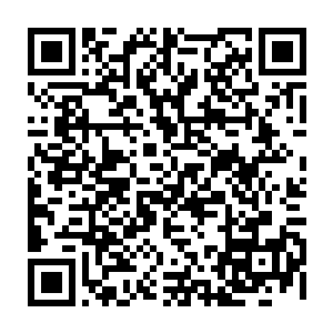 今天来也就是要和准备移交的池枫以及日后会和他工作对接的萧樱先行联系二维码生成