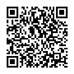 今天猴子等人见到林烽学长才会那么害怕的……可笑的是二维码生成