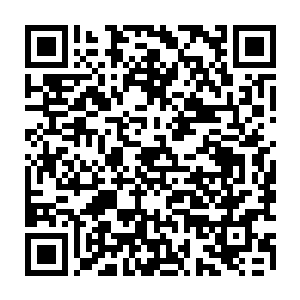 今天竟然知道抹眼泪――主渐洪主任也说他们会等到医生的鉴定结果出来二维码生成