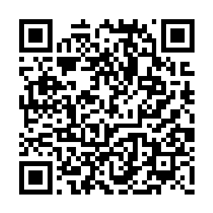 今天第一次可以近距离观察这座美丽的海滨城市二维码生成