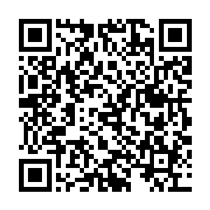 今天给圆圆过生日也算是一次专门给咱们年轻人准备的聚会二维码生成