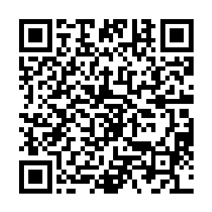 今天这家香奈儿店发出了秘密打折发售活动的电邮和短信二维码生成