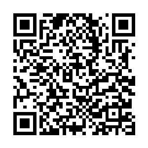 今日一战他们注定在各家族和东皇大6的历史上留下重重一笔二维码生成