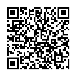 今日他们竟然在这镇妖塔中见到了这个传说中的人物二维码生成