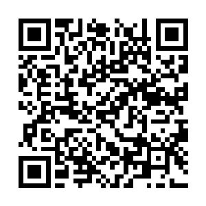 今日其实是我和瑜儿还有寒王世子演的一出戏而已二维码生成