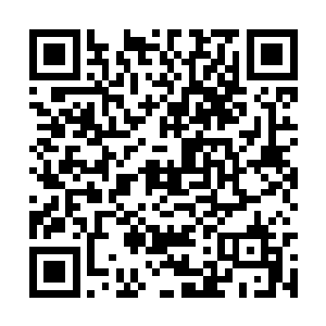 从一个稳准狠的风险投资公司变成了一个大把撒钱二维码生成
