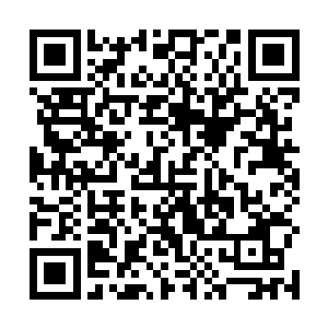 从下界上来的武者不论如何身上都会有不少的精灵宝钻二维码生成