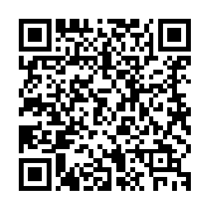 从不远处的人群中突然间就多出了十几个和他们同样打坐的影子二维码生成