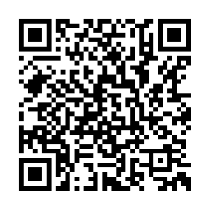 从主桅的顶部到船头拉着的那根钢索叫前帆支索二维码生成