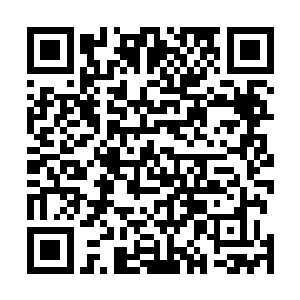 从之前的战斗来看以陈凌现在的实力是不可能战胜的了的二维码生成