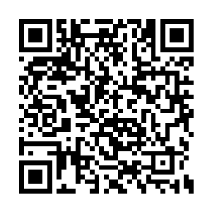 从乾坤袋里取出一瓶仙丹与几个法器塞给任陌生二维码生成