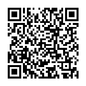 从今以后他们只要是看到金刀生出的第一个念想就是跑二维码生成