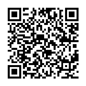 从他们走进仙桃村的第一分钟开始其实就已经失败了二维码生成
