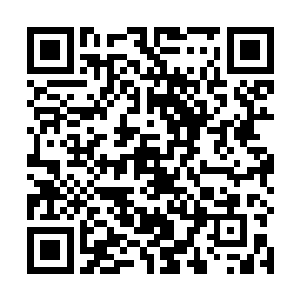 从他出生以来还是第一次碰到像林辰这种不怕死的存在二维码生成