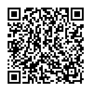 从他手下那些化神期乃至化神期巅峰的鲨齿族修士所拿的武器就可以看出二维码生成