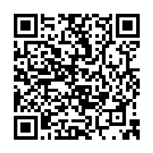 从他爷爷的表现来看这次的事情肯定是非同小可二维码生成