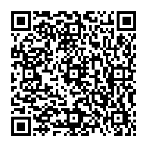 从他获得的信息反映出鲁刚大概算是苏谯县里依附于杜双余的县处级干部中最勉强的一个二维码生成
