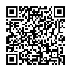 从储物手镯中仅有的十六张九品的顶级符箓中取出了九张二维码生成