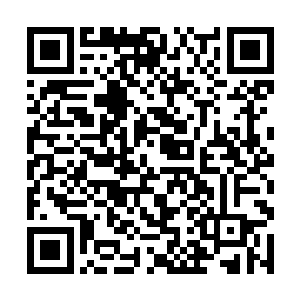 从写字台下面的保险柜里拿出一大摞花花绿绿的钞票二维码生成