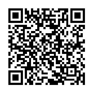 从刚才看马特翻动它小心翼翼的样了就能推出一二了二维码生成