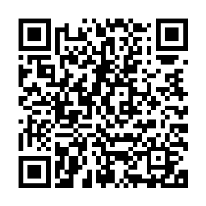 从前在篷州的时候也从来没把自己当成过高高在上的大家小姐二维码生成