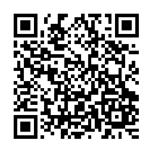 从回忆中回过神来的喜臻指着通向大门口的这条路对香儿吩咐道二维码生成