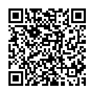 从头到尾连名字都没有报过的吸血鬼一眨眼就来到了白兰面前二维码生成