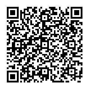 从头发到她提着裙摆套着手套的手指再到她走路时不经意露出来的鞋尖……每一处都在闪光二维码生成