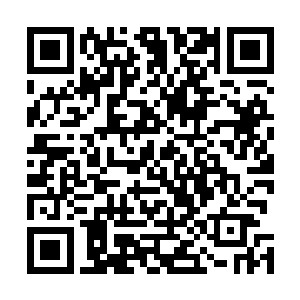 从对凌波仙子和杨先生击杀柳仙君和魔族修士的过程来看二维码生成