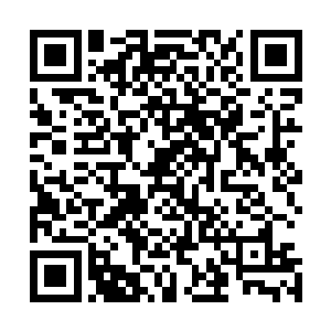 从小白的身后突然多出了一张白毛毛的手抓住了我的枣木剑二维码生成