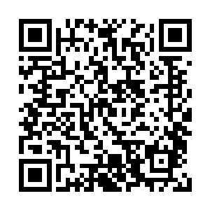 从我们这边挖掘到足够故事的抚琴的人终于离去二维码生成
