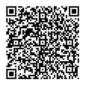 从我的身体之中爆发出了一阵巨大的白光我身上所有的血肉都四散了开来最终只剩下了一个血淋淋的骷髅架子二维码生成