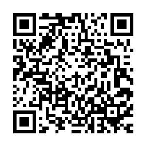 从放在里面的一个白玉瓶中倒出一颗拇指大小的丹药出来验证二维码生成