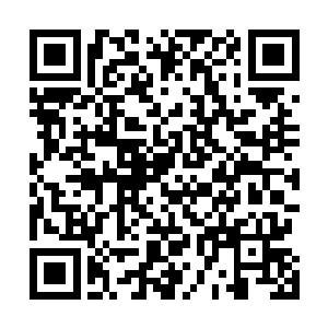 从新安县回来就一直拉着姚文昌打听卢小姐到底长得咋样二维码生成