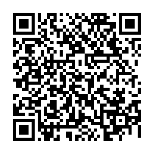 从旁边的皮野绫和淘宝拳那激动难耐甚至差点相拥而泣的举动中就能看得出来二维码生成