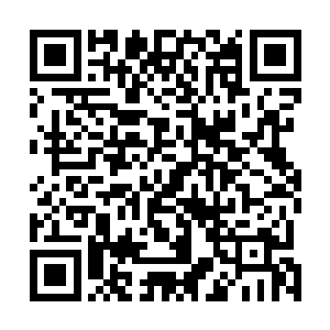 从早上辰时开始到现在已经是过去了四个时辰是颗粒未尽二维码生成