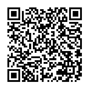 从最开始笛卡尔只是依靠自己的实力 到后面慢慢的变为依靠这个比武台二维码生成