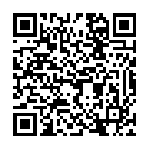 从来不会管自己的对手到底是男的是女的是老的是少的二维码生成