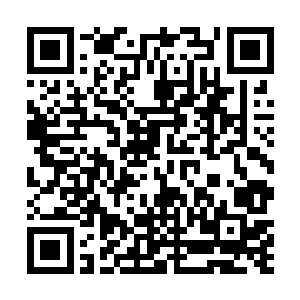 从来不在乎许紫烟已经是圣级大修士和仙界盟主的身份二维码生成