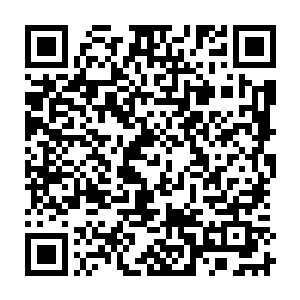从来没有神通境之下的武道之人能从我的幻界之中苏醒过来……你是第一个二维码生成
